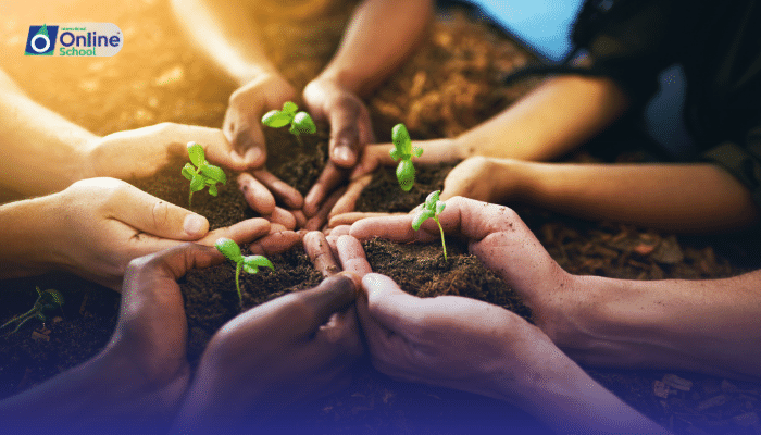 Lesson 12: Importance of Seedless Vascular Plants